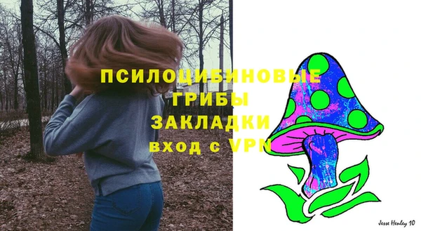 не бодяженный Абаза